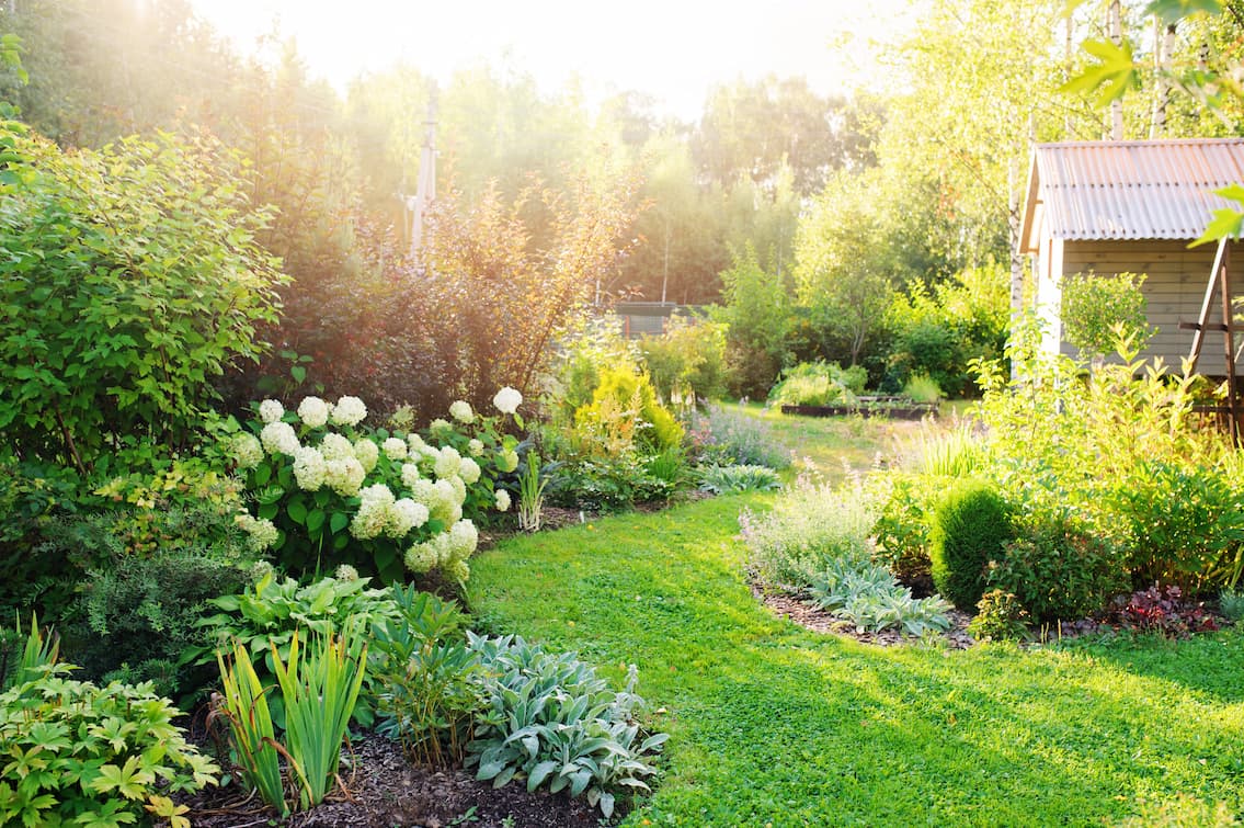 Jardin anglais