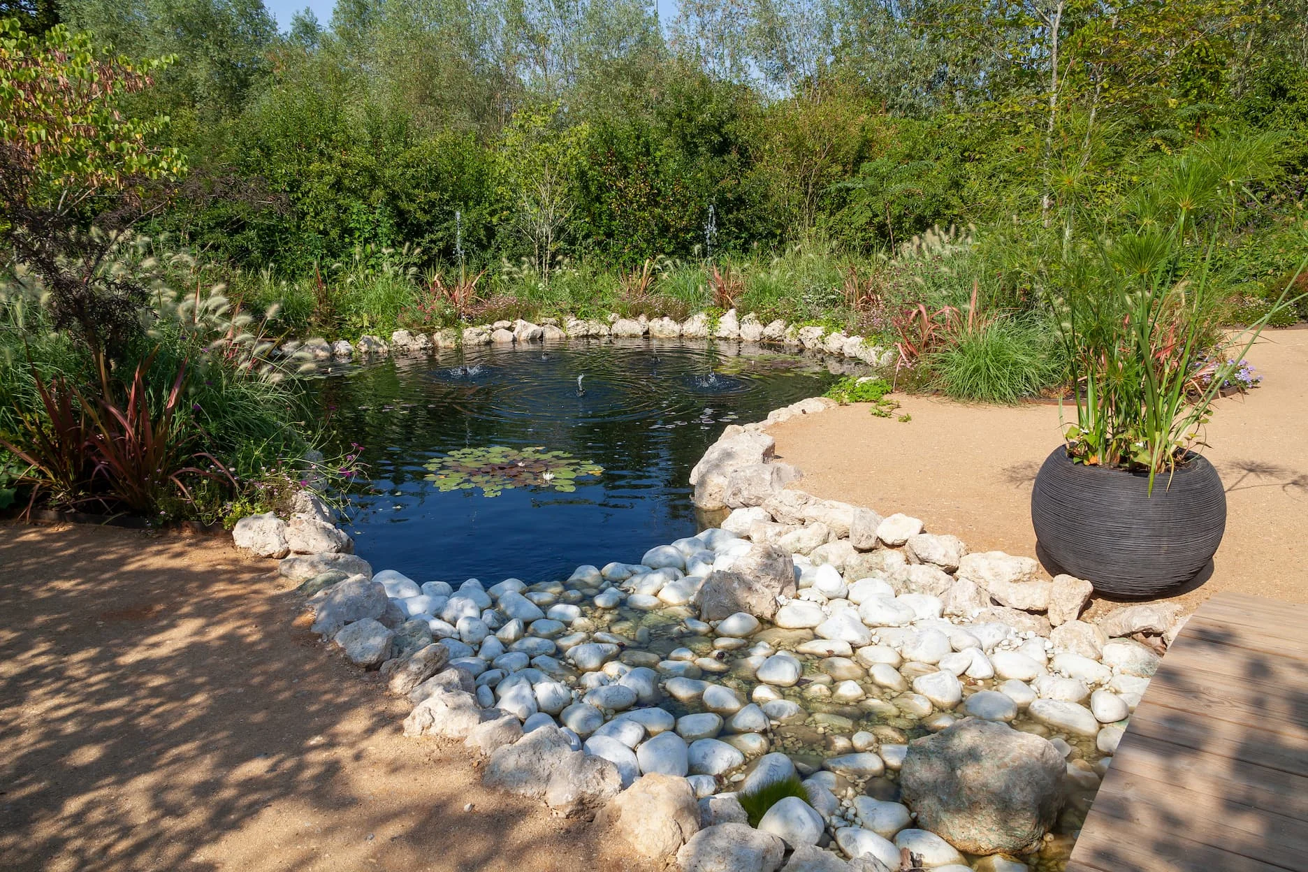 Bassin naturel Joigny