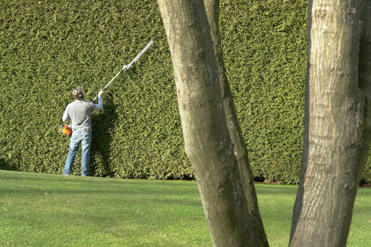 Entreprises, copropriétés, collectivités 🌿

Vos espaces verts parlent de vous toute l'anné