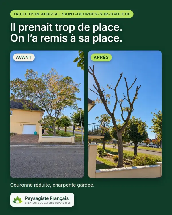 Il commençait à prendre trop de place.

À Saint-Georges-sur-Baulche, chez un de nos client