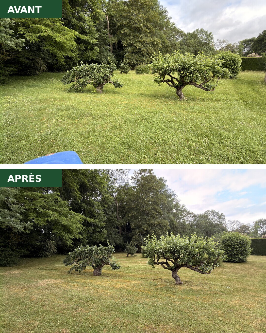 🌿 Avant / Après — un parc reprend vie en plein cœur d'Auxerre

On a récupéré l'entretien d
