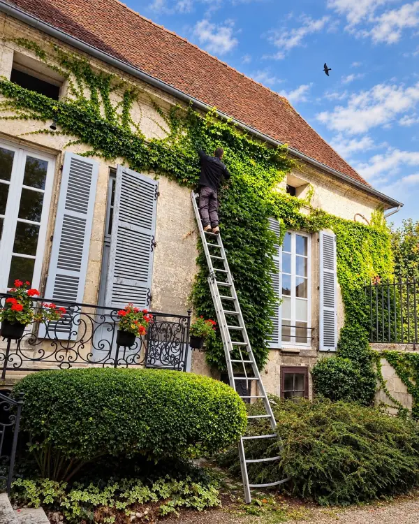 Elle habille la maison. Nous, on tient le cadre.

Dans un jardin clos de murs, du côté de 